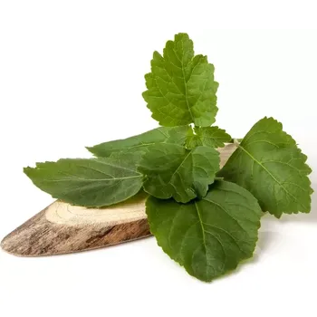 Výroba svíčky White Wood and Patchouli - vonný olej na výrobu svíček (Bílé dřevo a pačule - vůně do vosku)