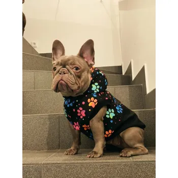 Obleček pro psa Maximin Zateplená softshellová bunda pro psa, nepromokavá - vzor "barevné tlapky", velikost L