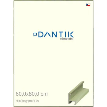 Rám na obraz DANTIK rámeček 60x80 | ALU profil 6030 Dýha barevná zelená pastel (Plexi Čiré) (Vyrobeno s láskou u nás v DANTIKU)