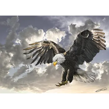 ART PUZZLE Puzzle Černá a bílá 500 dílků