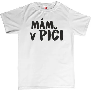 Žertovný předmět Mám v piči - pánské tričko s potiskem S šedá - melír Černá - 402