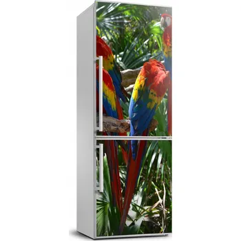 Fototapeta Foto Samolepka na ledničku, zeď - Papoušci Ara