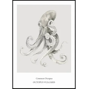 Plakát Jen tak z lásky Plakát Common Octopus Rozměr plakátu: A4 (21 x 29,7 cm)
