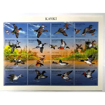 Sběratelství Aršík Belarus - kachny