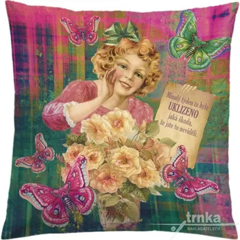 Povlak na dekorativní polštářek Povlak na polštář 40 x 40 cm - Minulý týden bylo uklizeno, s motýly