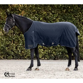 Deka pro koně Deka výběhová Waldhausen -ARCTIC 200G- - Tmavě modrá - 125cm
