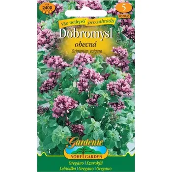 Dobromysl obecná - Oregáno