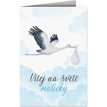 Nekupto Přání k narození dítěte Čáp s miminkem 115 x 170 mm modré Nekupto Přání k narození dítěte Čáp s miminkem 115 x 170 mm modré