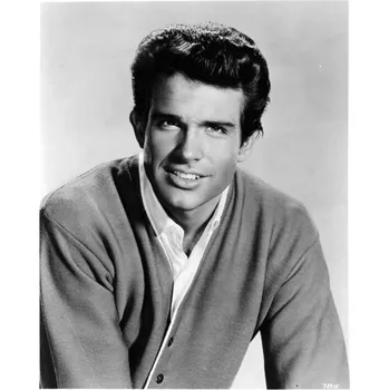 Plakát Plakát, Obraz - Warren Beatty In 'All Fall Down'