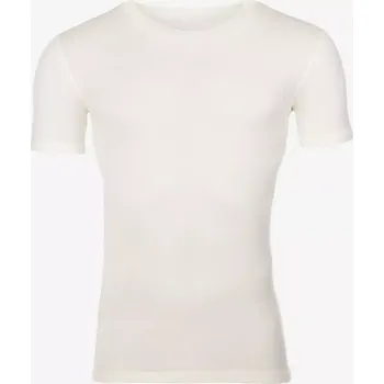 Pánské tričko Pánské funkční tričko Merino 210 S Béžová