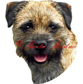 Samolepka border teriér 213