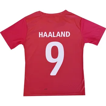 Fotbal Numberoplus Dětské fotbalové tričko - Erling Haaland Velikost: 10-let (vel.134)