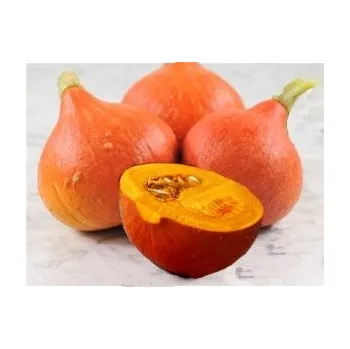 Semeno TYKEV velkoplodá Hokkaido Orange (Cucurbita maxima Duchesne) 5 semen