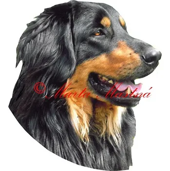 Samolepka hovawart, hovavart 116