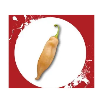 Semeno Semínka Chilli papriček Sugar Rush Peach 10 ks