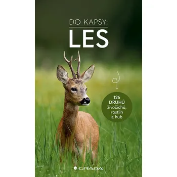 Les - Do kapsy