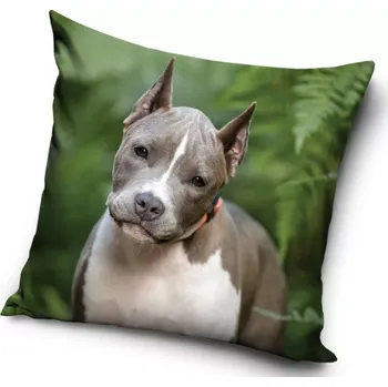 Polštář Povlak na polštář pes - pitbull (2)