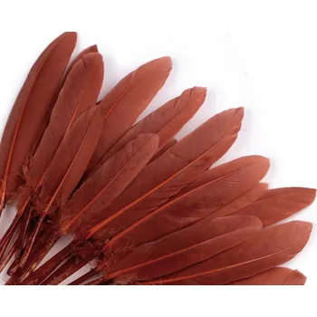 Stoklasa Kachní peří délka 9-14 cm Balení: 1 sáček, Varianta: 36 rezavá stř.