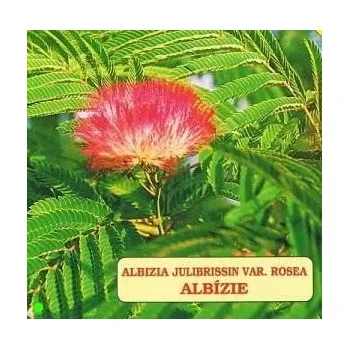 Semeno ALBIZIA julibrissin rosea "Perská akácie" 5 semen