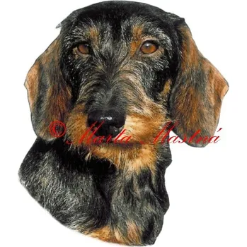 Samolepka jezevčík drsnosrstý 246