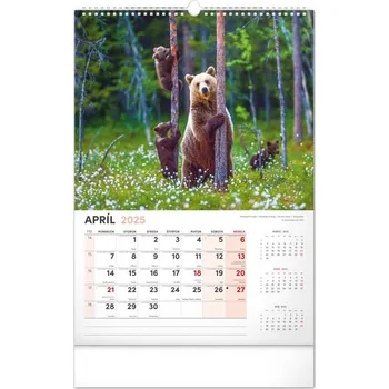 Kalendář Poľovnícky kalendár 2025 - nástenný kalendár