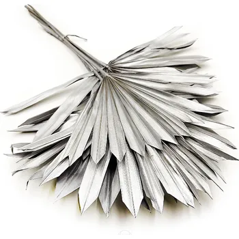 mech-mech.cz Sušený palmový list (Palm Sun) - Stříbrný