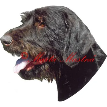 Samolepka český fousek, ohař - archiv 511