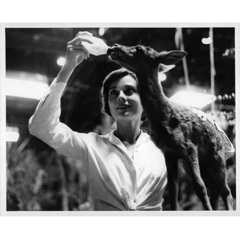 Plakát Plakát, Obraz - Audrey Hepburn In 'The Green Mansions'