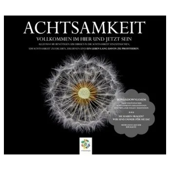 Die Achtsamkeits-CD, Audio-CD - Scholz, Irina