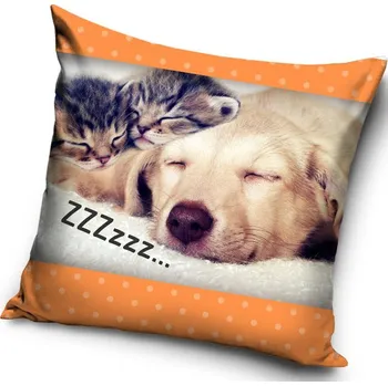 Polštář Povlak na polštář pes a kočky