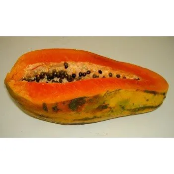 Semeno CARICA papaya "Melounový strom" 5 semen
