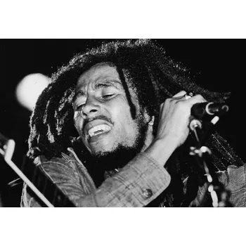 Plakát Plakát, Obraz - Bob Marley Performs On Stage