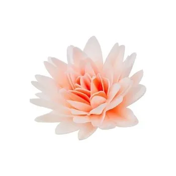 Jedlá dekorace na dort Jedlá dekorace (jedlý papír) - Pivoňka 12 cm / lososová