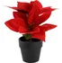 umělá květina Home Styling Collection Umělá betlémská hvězda v květináči 18 cm červená