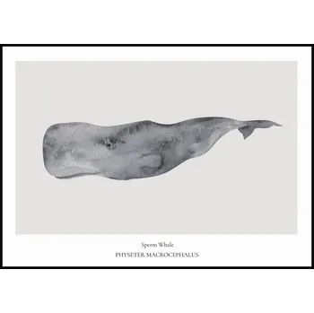 Plakát Jen tak z lásky Plakát Sperm Whale Rozměr plakátu: 50 x 70 cm