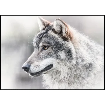 Plakát Jen tak z lásky Plakát Vlk Rozměr plakátu: A4 (21 x 29,7 cm), Orientace plakátu: Na šířku