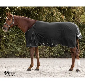 Deka pro koně Deka výběhová Waldhausen -SCANDIC 200G- - Černá - 155cm