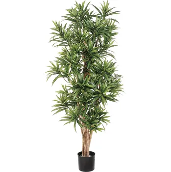 umělá květina Luxusní umělá palma DRACAENA REFLEXA, 150 cm