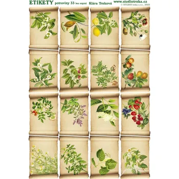 Speciální papír Samolepicí etikety potraviny 33, bez nápisů