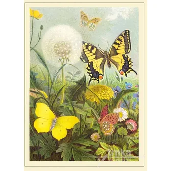 Dekorativní polštářek Reprodukce z přírody, motýli Velikost: 30 x 40 cm