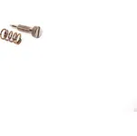 MOTOMAX, s.r.o. Šroub regulační s pružinou JAWA 350 - 638, 639, 640 *M