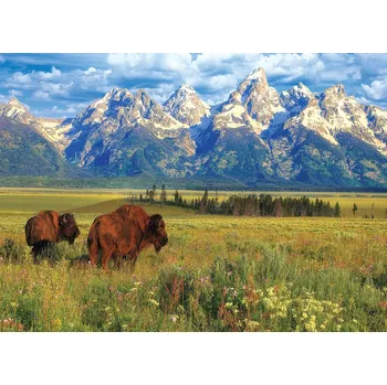 Dětské zboží EUROGRAPHICS Puzzle Národní park Grand Teton 1000 dílků