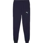 Pánské tréninkové kalhoty Puma TEAMGOAL CASUALS PANTS M Tmavě modrá, Bílá