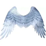 Fiestas Guirca Andělská látková křídla…