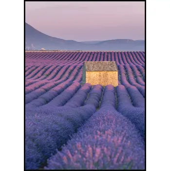 Plakát Jen tak z lásky Plakát Chatka v levandulovém poli Rozměr plakátu: A4 (21 x 29,7 cm)