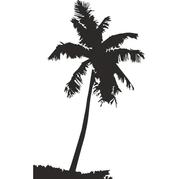 Obraz Samolepka na stěnu Drukant W-DZ005_80 palma černá 80x50 cm