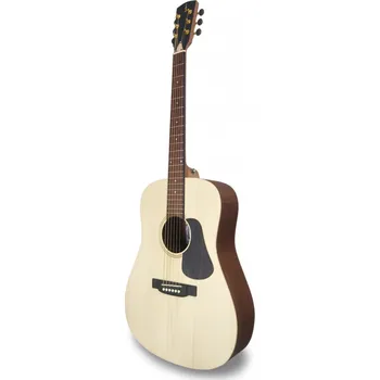 Akustická kytara APC WG100