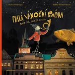 Malá vánoční povídka aneb Jak jsem se…