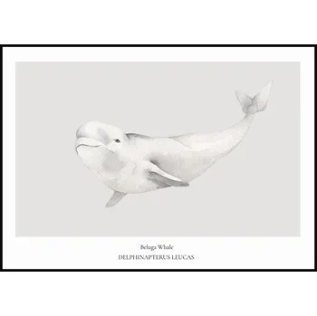 Plakát Jen tak z lásky Plakát Beluga Whale Rozměr plakátu: A4 (21 x 29,7 cm)