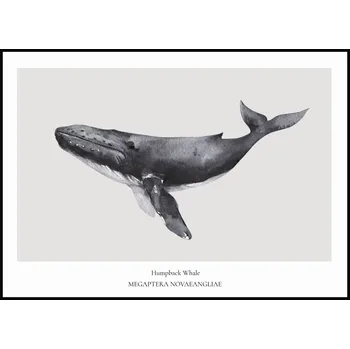 Plakát Jen tak z lásky Plakát Humpback Whale Rozměr plakátu: A4 (21 x 29,7 cm)